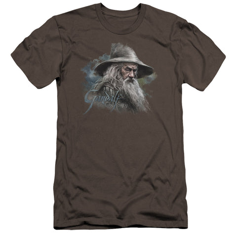 The Hobbit/gandalf The Grey-premuim Canvas Adult Slim Fit 30/1-charcoal