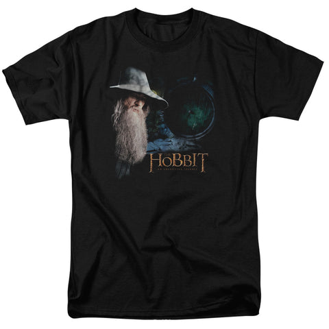 The Hobbit/the Door - S/s Adult 18/1 - Black