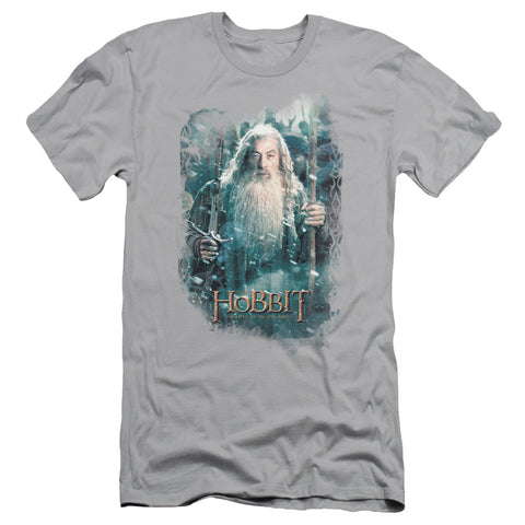 Adult Slim Fit Short Sleeve
