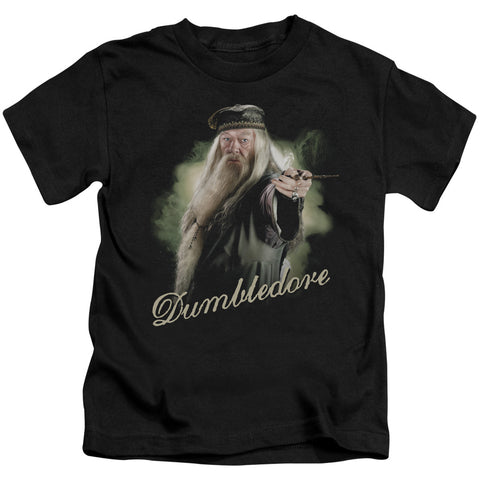 Harry Potter/dumbledore Wand-s/s Juvenile 18/1-black