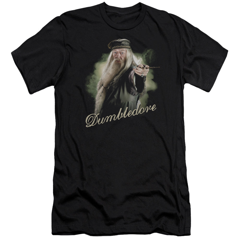 Harry Potter/dumbledore Wand-hbo S/s Adult 30/1-black