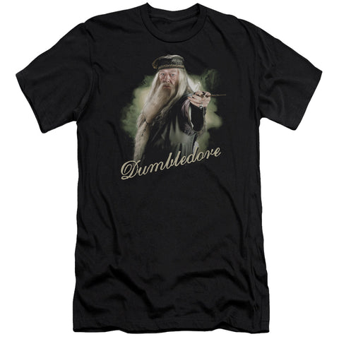 Harry Potter/dumbledore Wand-hbo S/s Adult 30/1-black