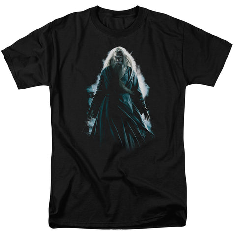 Adult Regular Fit Short Sleeve