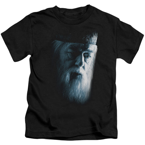 Harry Potter/dumbledore Face-s/s Juvenile 18/1-black
