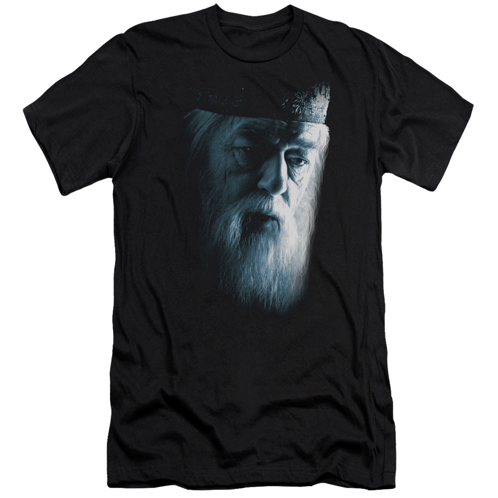 Harry Potter/dumbledore Face-s/s Adult 30/1-black