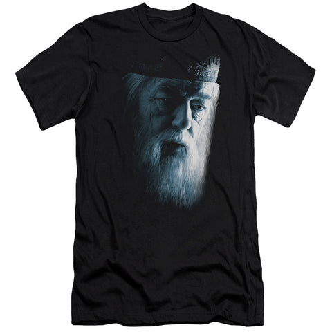 Harry Potter/dumbledore Face-s/s Adult 30/1-black
