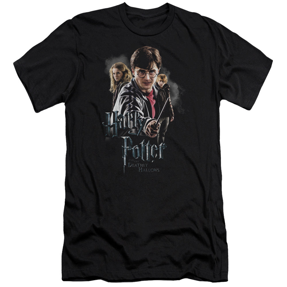 Harry Potter/deathly Hollows Cast-s/s Adult 30/1-black