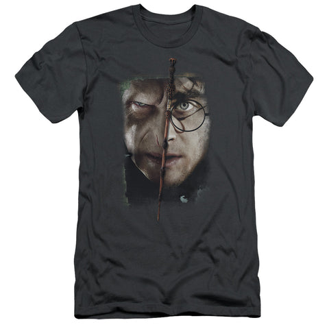 Harry Potter/it All Ends Here-s/s Adult 30/1-charcoal