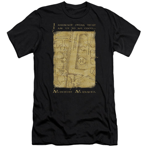 Harry Potter/marauders Map Interior Words-hbo S/s Adult 30/1-black