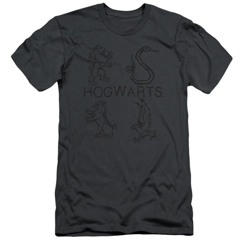 Harry Potter/literary Crests-hbo S/s Adult 30/1-charcoal