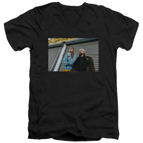 Jay And Silent Bob/photo-s/s Adult V-neck 30/1-black