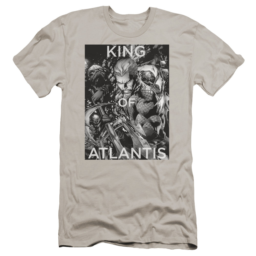 Jla/king Of Atlantis-premuim Canvas Adult Slim Fit 30/1-silver