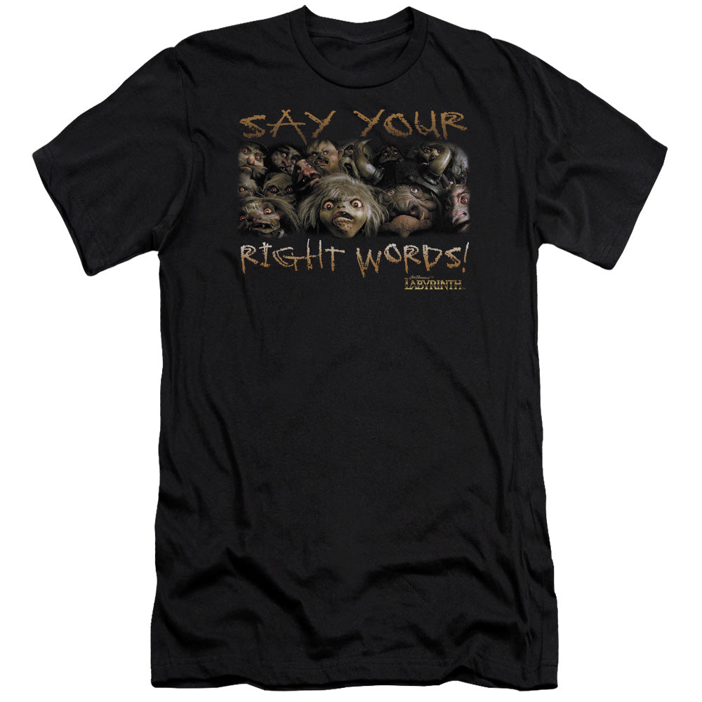 Labyrinth/say Your Right Words - S/s Adult 30/1 - Black