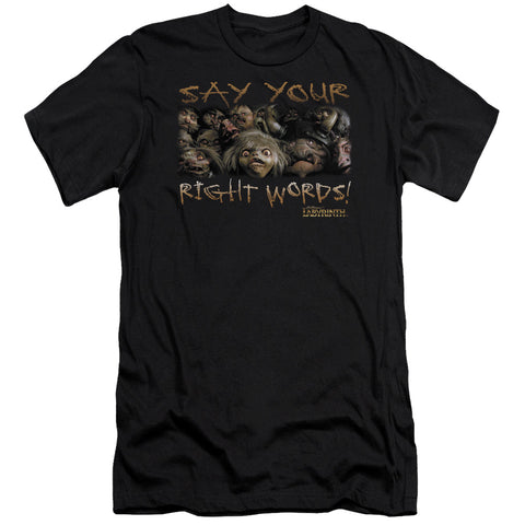 Labyrinth/say Your Right Words - S/s Adult 30/1 - Black