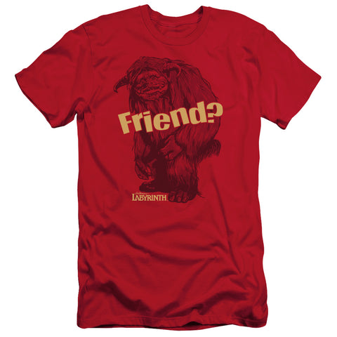 Labyrinth/ludo Friend - S/s Adult 30/1 - Red
