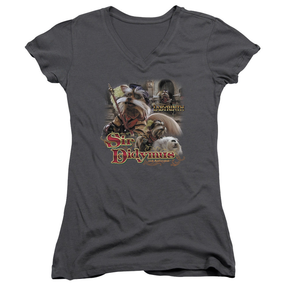 Juniors Sheer Cap Sleeve V-Neck