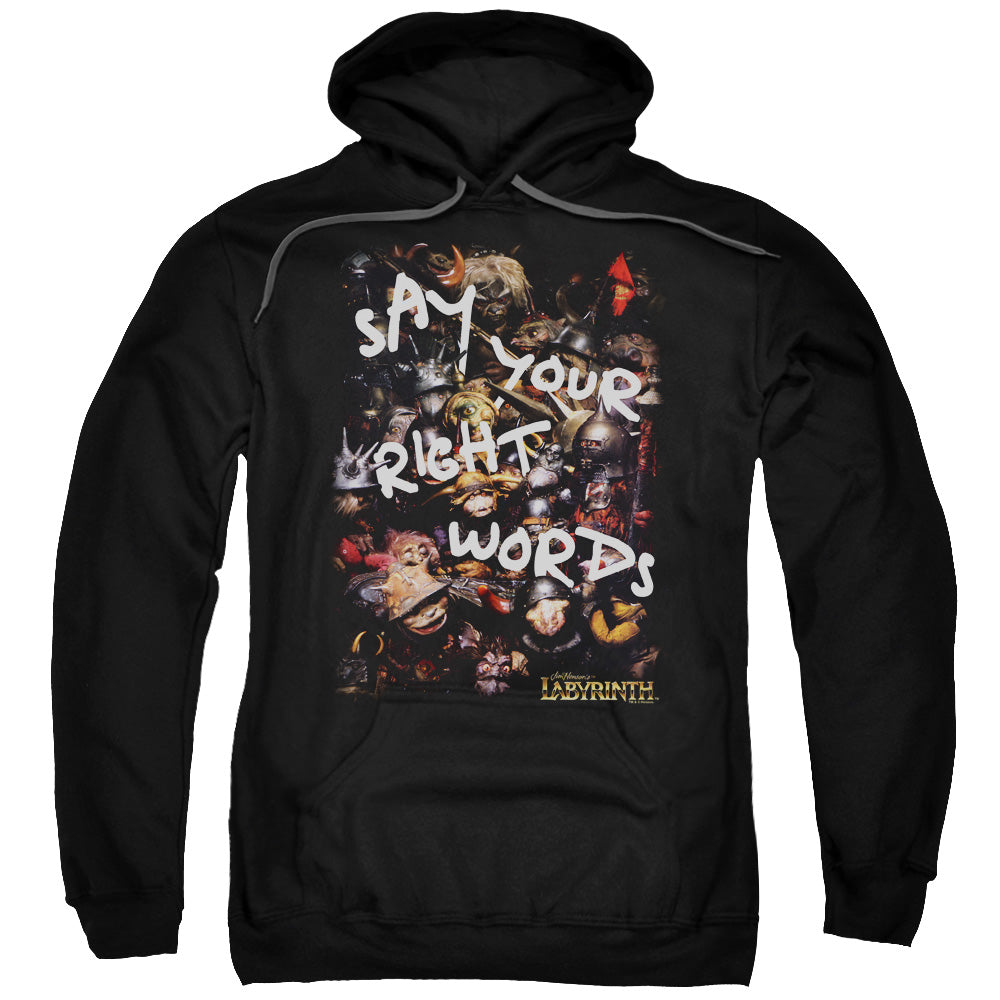 Labyrinth/right Words-adult Pull-over Hoodie-black