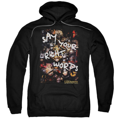 Labyrinth/right Words-adult Pull-over Hoodie-black