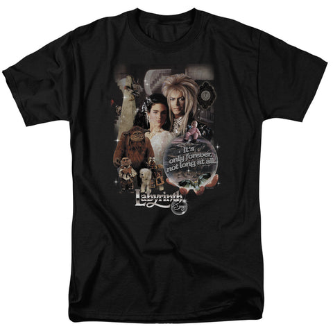Adult Regular Fit Short Sleeve