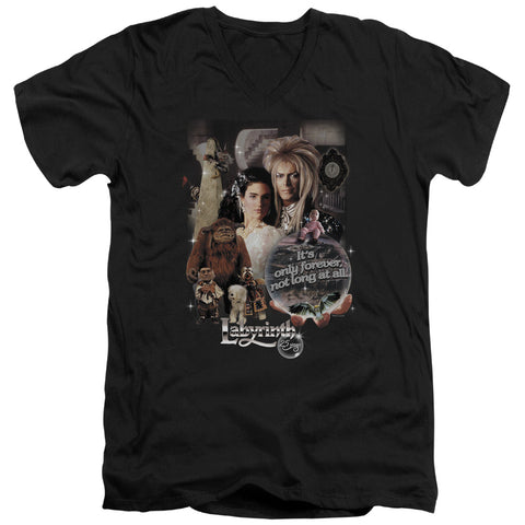 Adult Slim Fit V Neck
