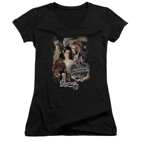Juniors Sheer Cap Sleeve V-Neck