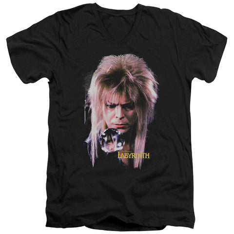 Adult Slim Fit V Neck