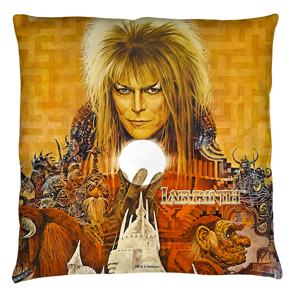 Throw Pillow