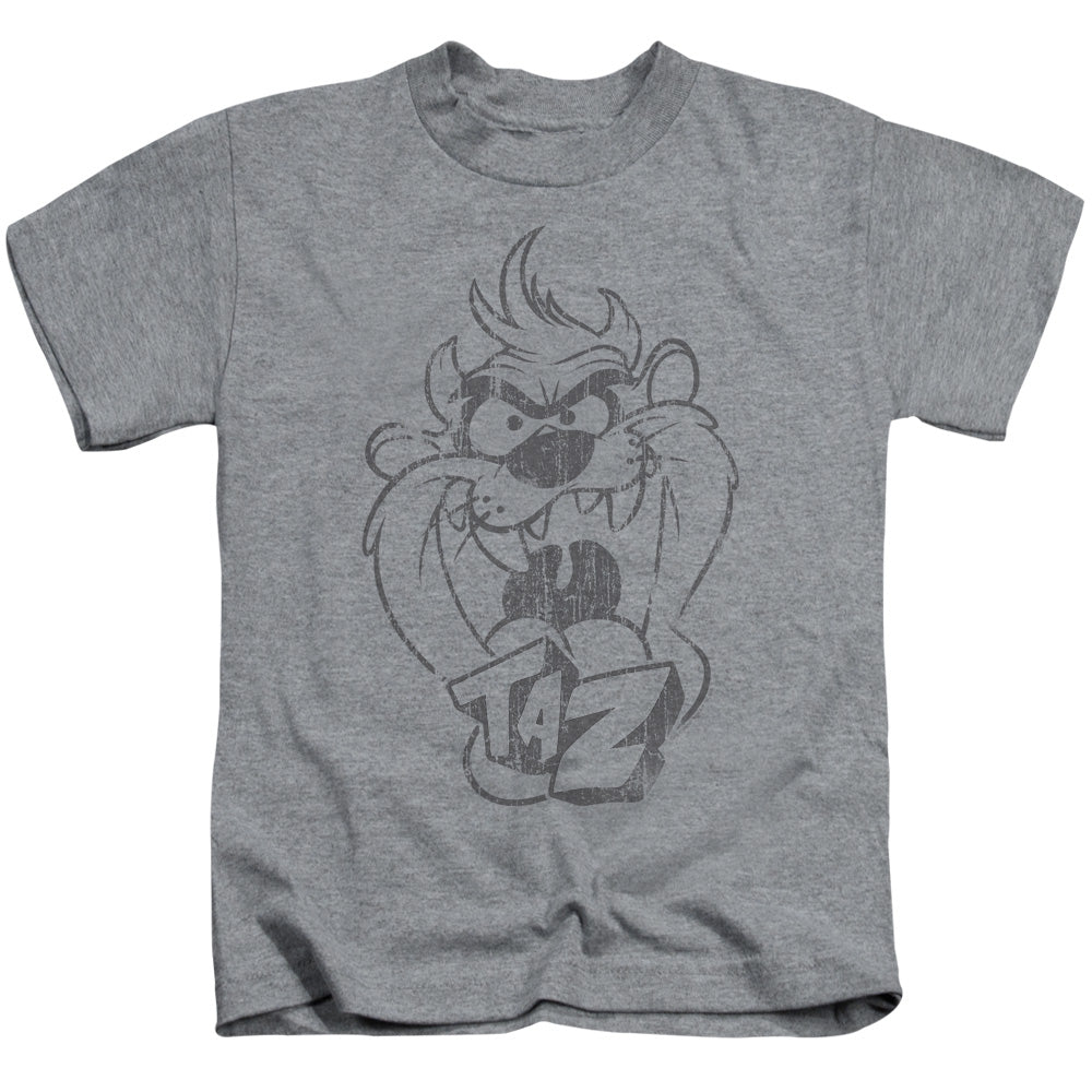 Looney Tunes/faded Taz-s/s Juvenile 18/1-athletic Heather