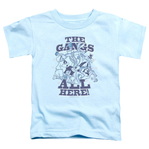Toddler Short Sleeve