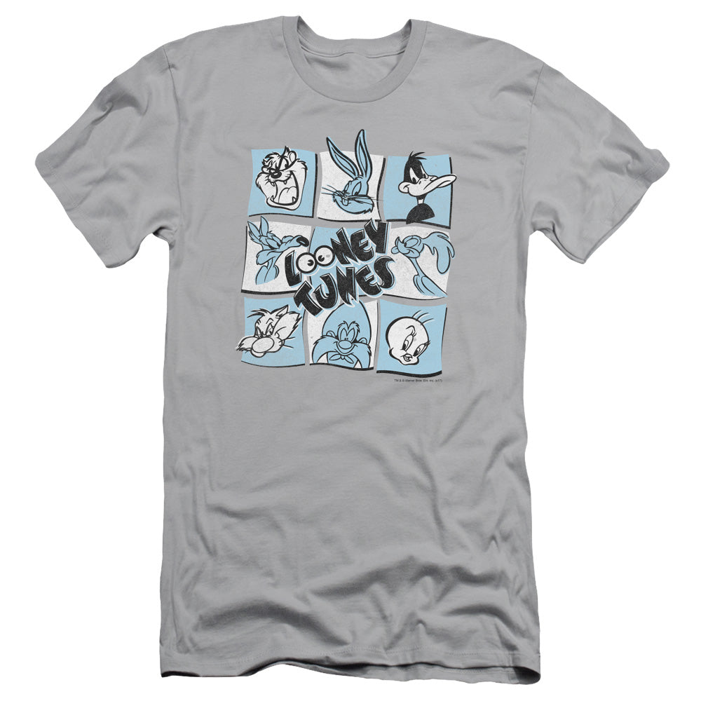 Looney Tunes/the Looney Bunch-s/s Adult 30/1-silver