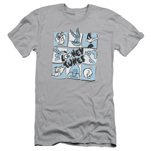 Looney Tunes/the Looney Bunch-s/s Adult 30/1-silver