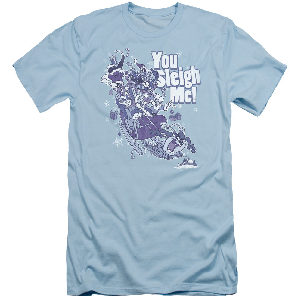 Looney Tunes/you Sleigh Me-s/s Adult 30/1-light Blue