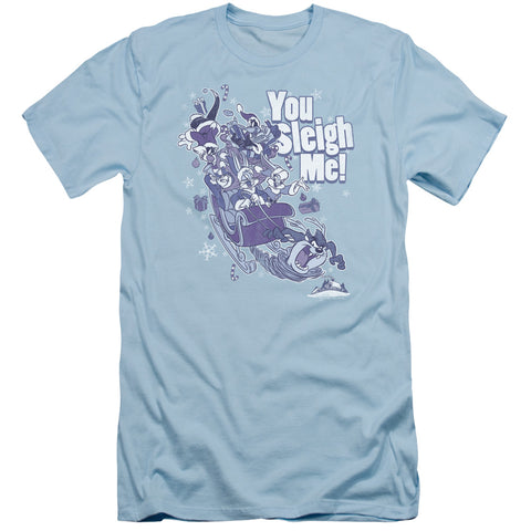 Looney Tunes/you Sleigh Me-s/s Adult 30/1-light Blue