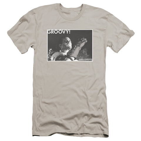 Army Of Darkness/groovy-premuim Canvas Adult Slim Fit 30/1-silver