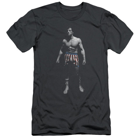 Rocky/stand Alone-s/s Adult 30/1-charcoal