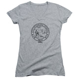 Juniors Sheer Cap Sleeve V-Neck