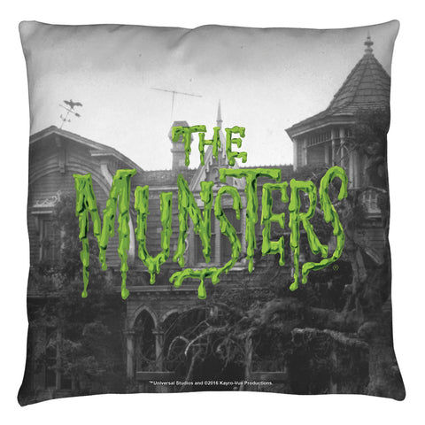 Throw Pillow