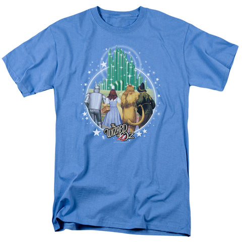 Wizard Of Oz/emerald City-s/s Adult 18/1-carolina Blue