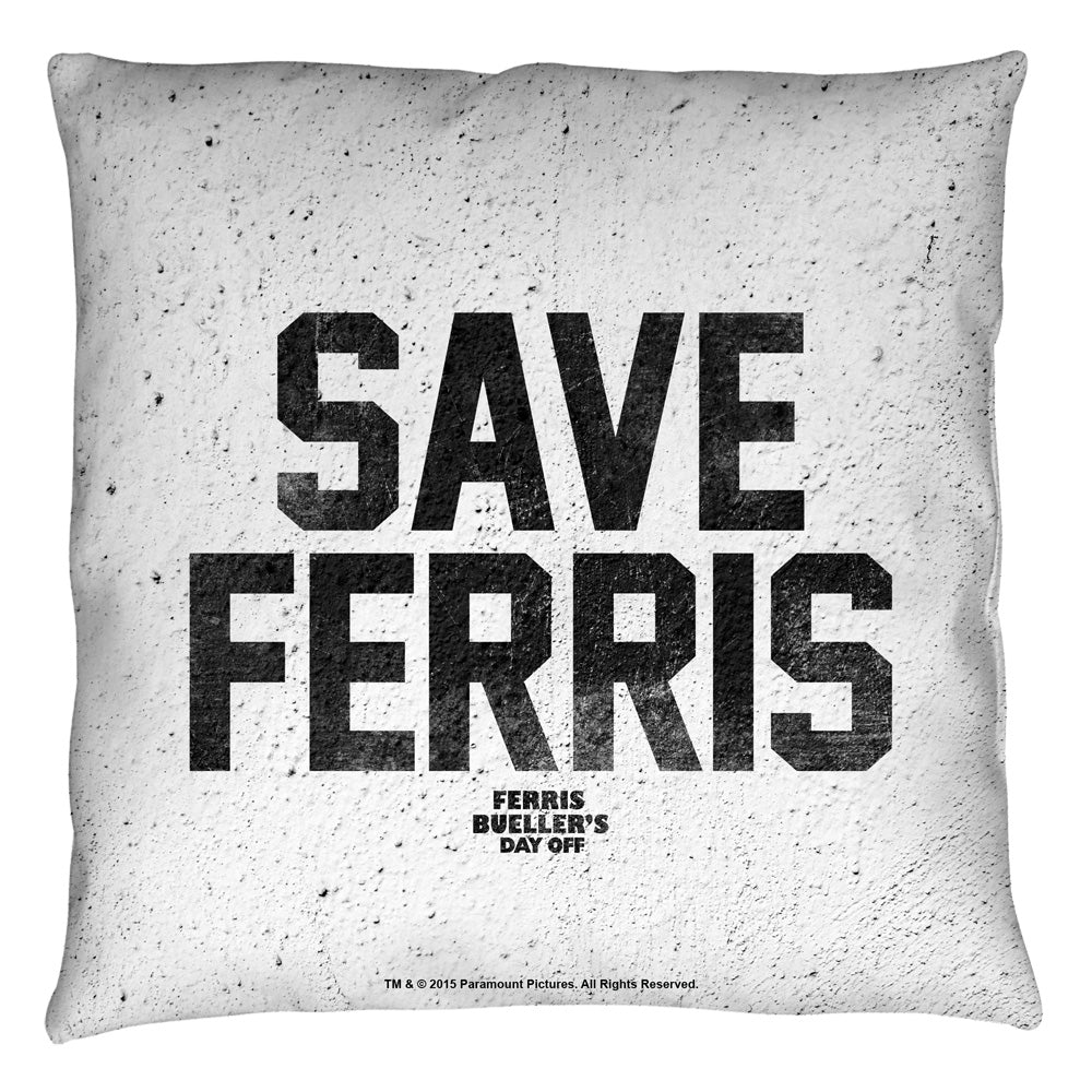 Throw Pillow
