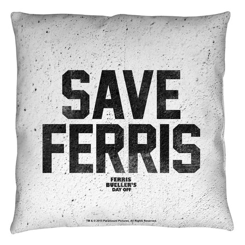 Throw Pillow