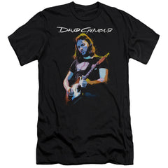 David Gilmour