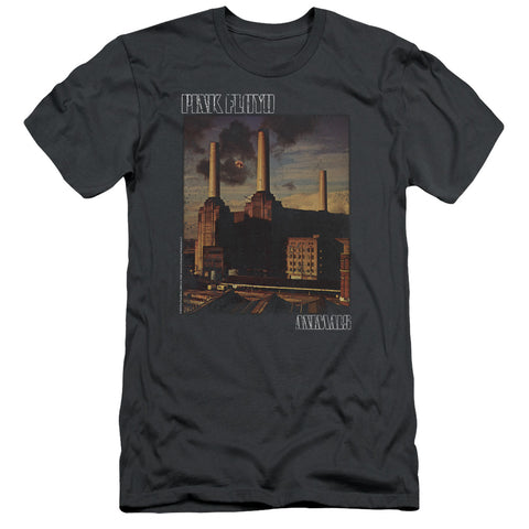 Adult Slim Fit Short Sleeve