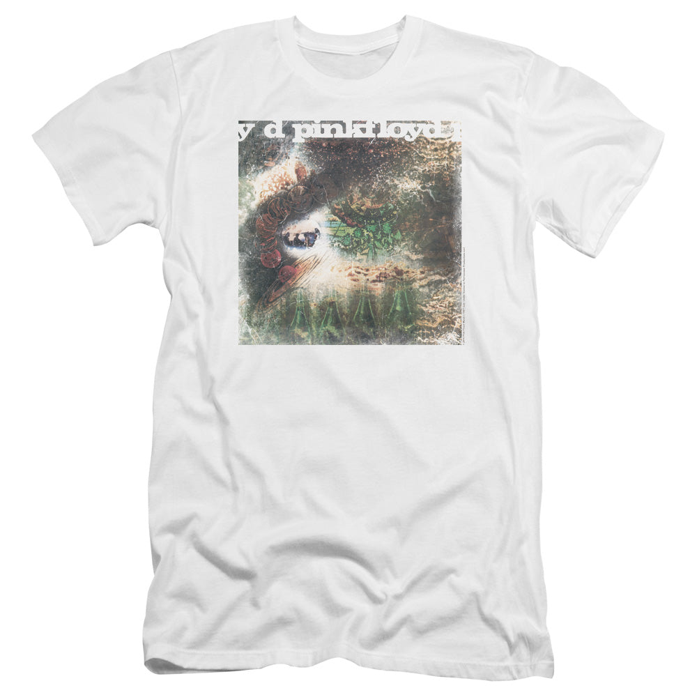 Pink Floyd/saucerful Of Secrets-premuim Canvas Adult Slim Fit 30/1-white