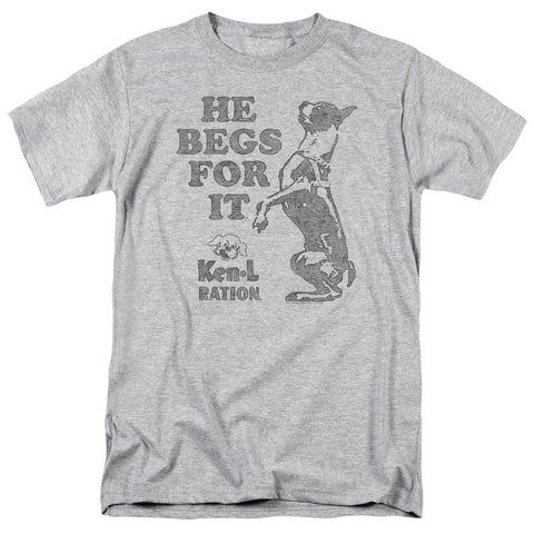 Adult Regular Fit Short Sleeve