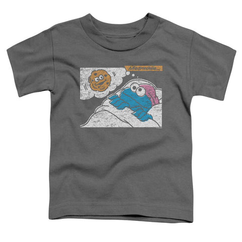Toddler Short Sleeve