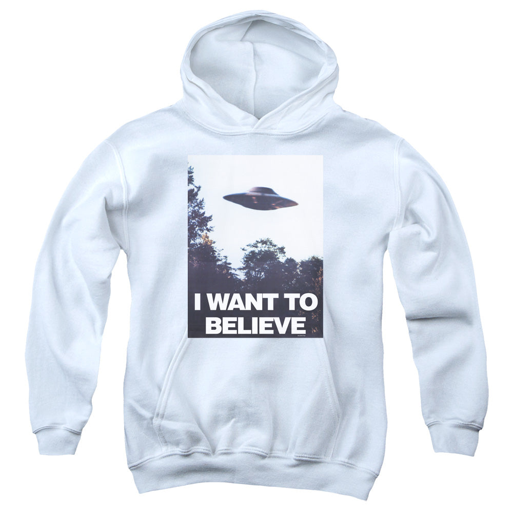 Youth Hooded Sweatshirt