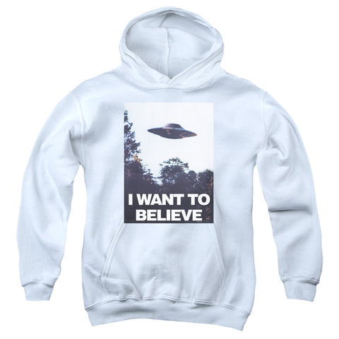 Youth Hooded Sweatshirt