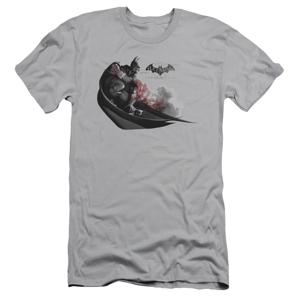 Arkham City/ready To Pounce - S/s Adult 30/1 - Silver