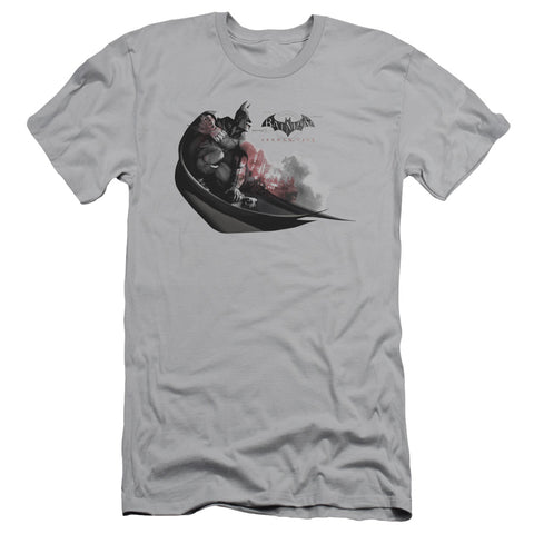 Arkham City/ready To Pounce - S/s Adult 30/1 - Silver