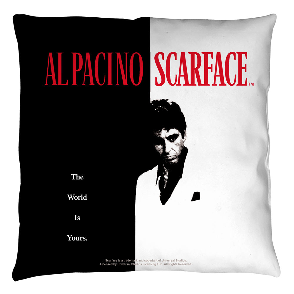 Throw Pillow